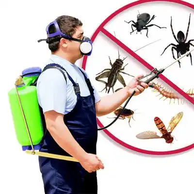 pest control Massillon